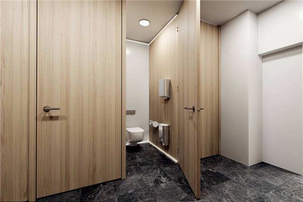 The Omen of Dreaming of a Toilet