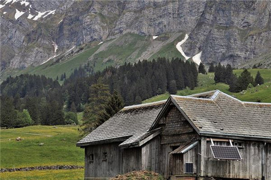The Omen of Dreaming of the Old House in Hometown