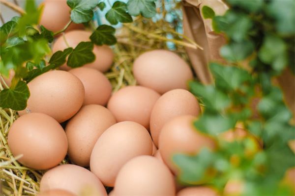 The Omen of a Woman Dreaming of Many Eggs