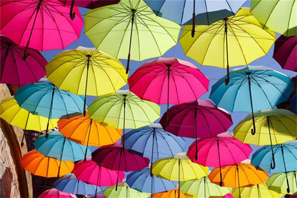The Omen of a Woman Dreaming of Many Umbrellas