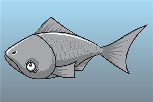 The Omens of Dreaming of Fish Flying in the Sky