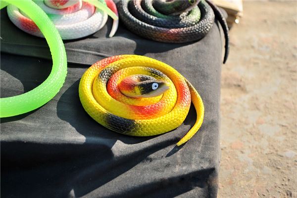 The Omens of Dreaming of a Nest of Snakes