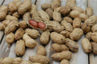 The omen of dreaming about harvesting ripe peanuts