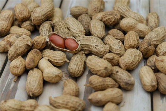The omen of dreaming about harvesting ripe peanuts