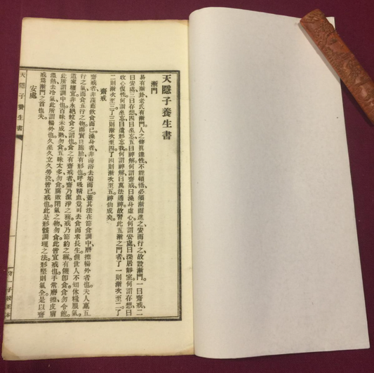 The Tianyinzi Yangsheng Shu 天隐子养生书