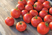 Tomato seedlings laden with fruit — omen?