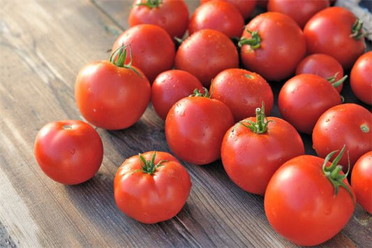 Tomato seedlings laden with fruit — omen?