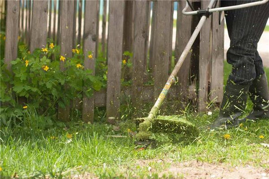 What Does Dreaming of Weeding Mean?