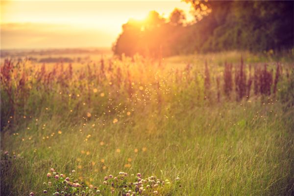 What Does Dreaming of a Dark Swarm of Mosquitoes Mean?