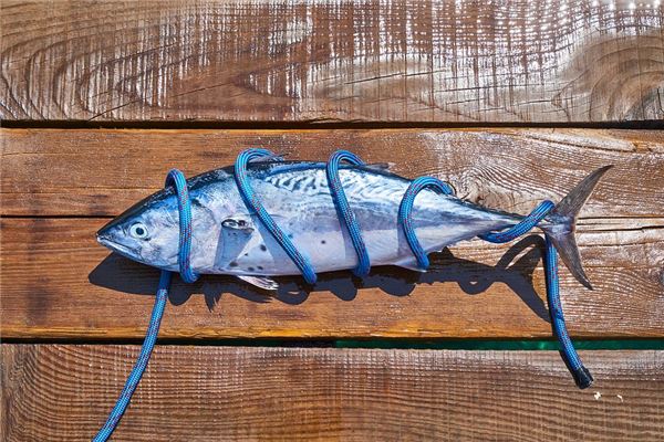 What Does It Mean When a Woman Dreams of a Dead Fish?