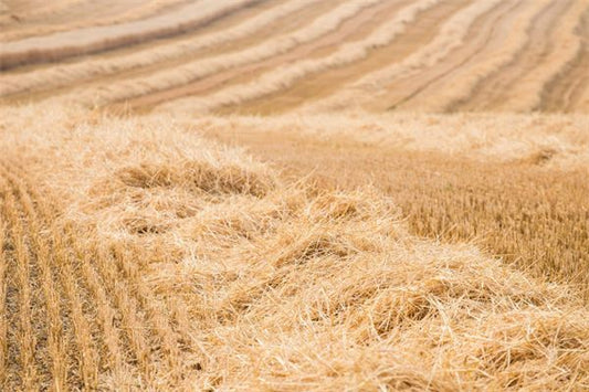 What Does It Mean to Dream of Straw?