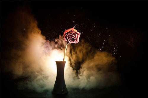 What Does It Mean to Dream of a Deceased Lover