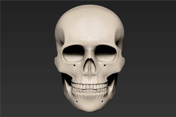 What Does It Mean to Dream of a Human Head?