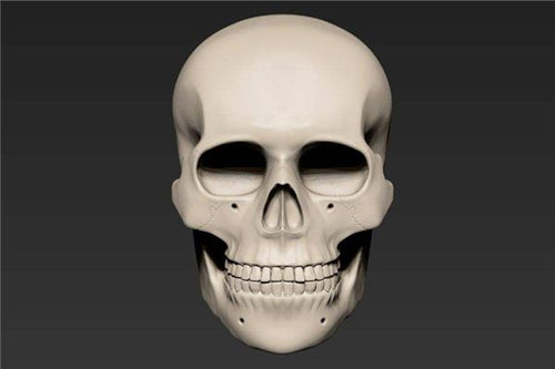 What Does It Mean to Dream of a Human Head?