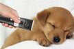 What Omen Does Dreaming of Shaving Hairs Portend?