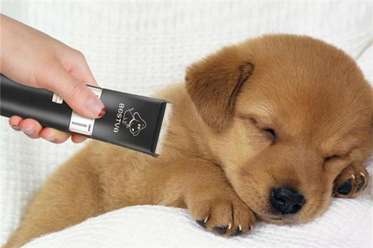 What Omen Does Dreaming of Shaving Hairs Portend?