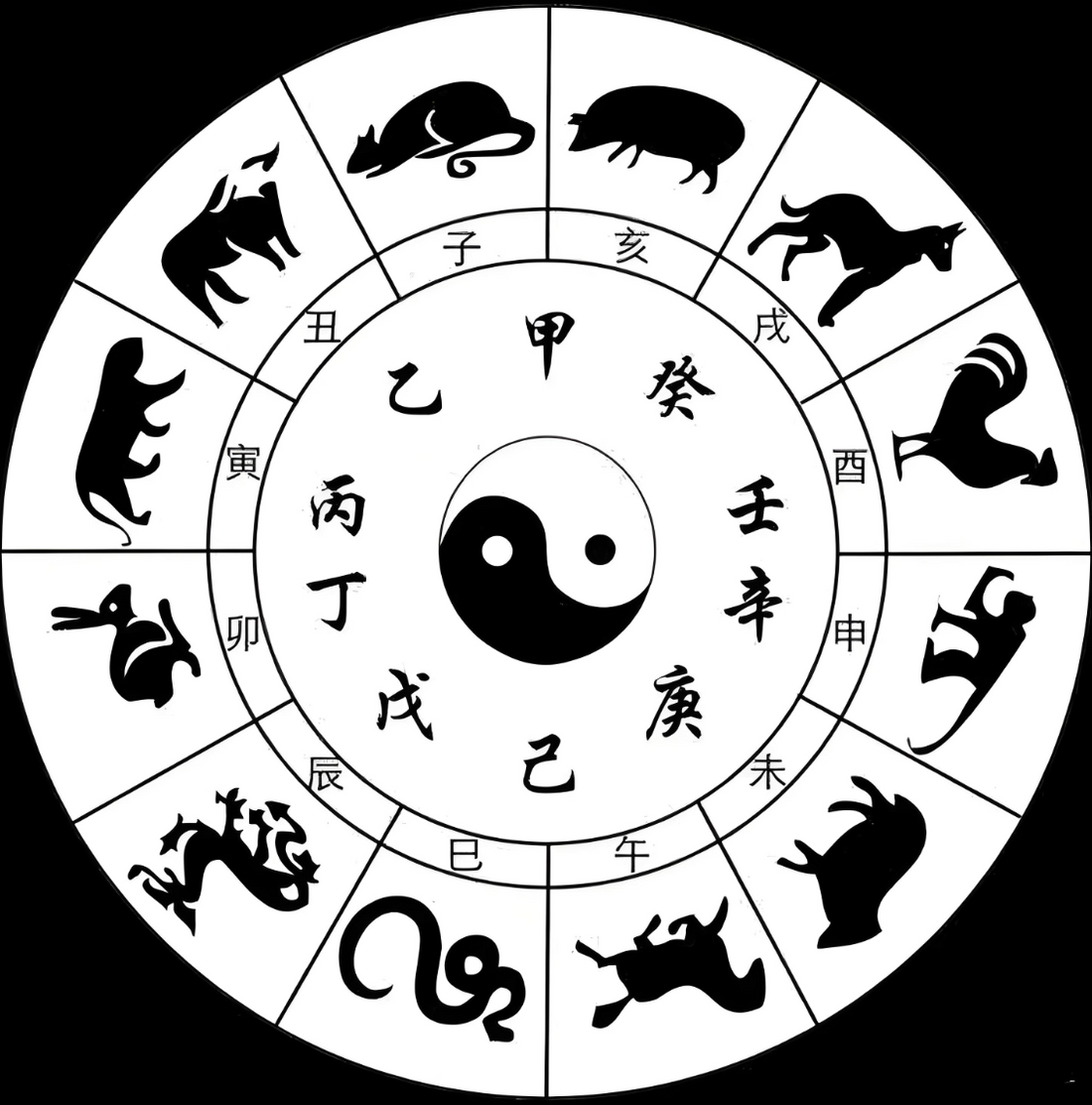 Analysis of the Twelve Earthly Branches