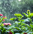 What does it foretell when you dream of rain?