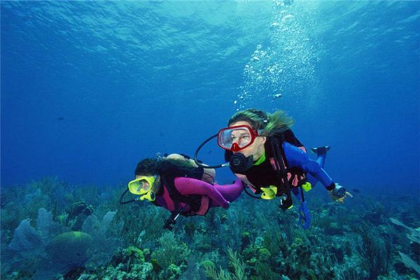 What is the omen of dreaming of diving?