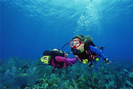 What is the omen of dreaming of diving?
