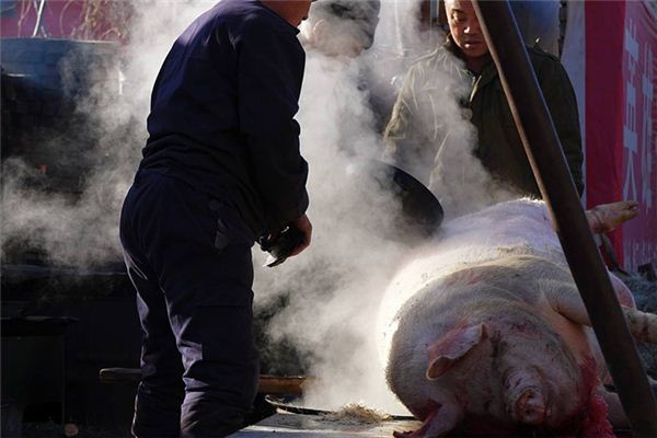 What is the omen of dreaming of killing a pig?