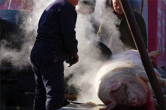 What is the omen of dreaming of killing a pig?