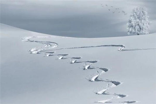 What is the omen of walking in snow in a dream?