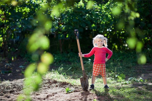 What the Omen of Dreaming of Digging Up a Tree