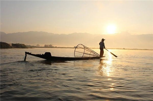 What the Omen of Dreaming of Fishing?