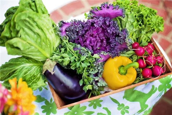 What the Omen of Dreaming of Fresh Vegetables