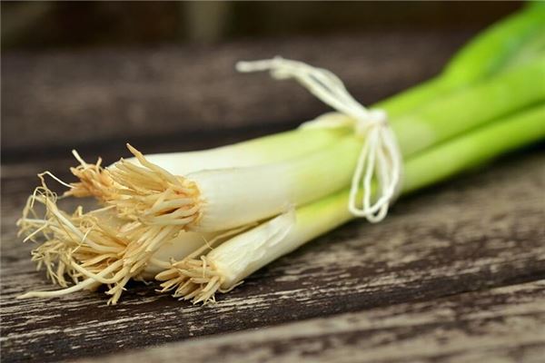What the Omen of Dreaming of Green Scallions