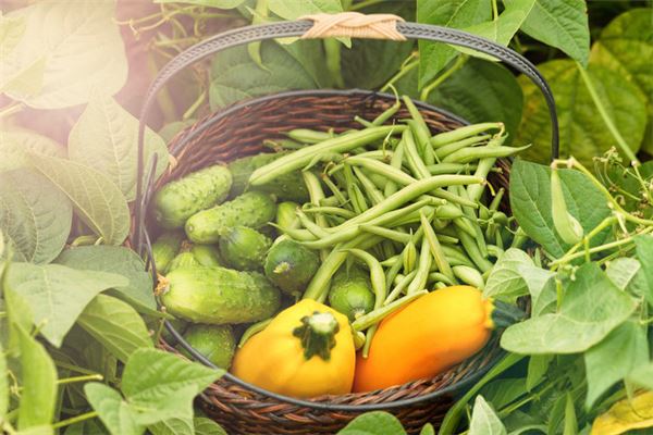 What the Omen of Dreaming of Picking Cowpeas with Others