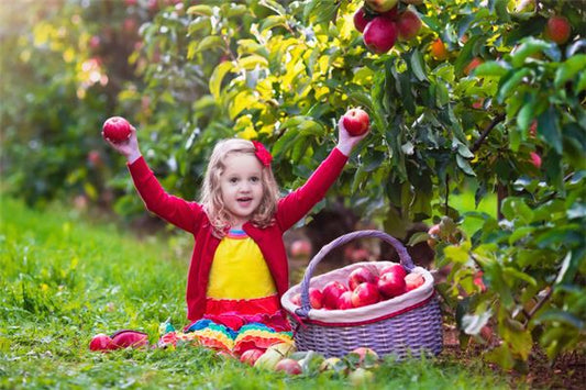 What the Omen of Dreaming of Picking Fruits with Others