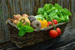 What the Omen of Dreaming of Picking Vegetables