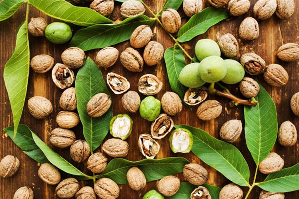 What the Omen of Dreaming of Picking Walnuts with Others
