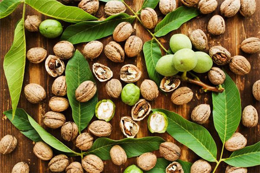 What the Omen of Dreaming of Picking Walnuts with Others