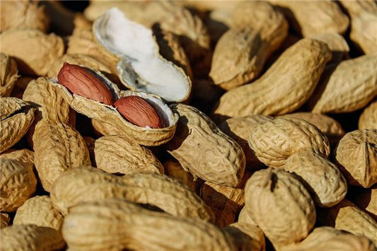 What the Omen of Dreaming of Planting Peanuts