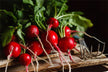 What the Omen of Dreaming of Radishes