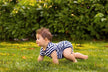 What the omen of Dream of Crawling?