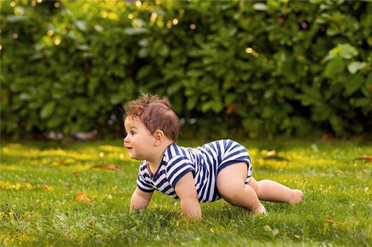 What the omen of Dream of Crawling?