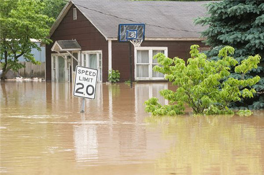 Woman Dreaming of Escaping a Flood: Signs and Meanings