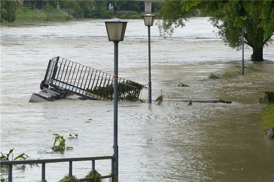 Woman Dreaming of a Great Flood: Signs and Meanings