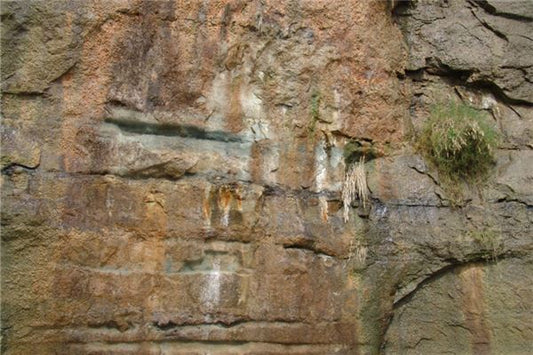 Woman Dreams of Water Seeping Through Walls - Omen