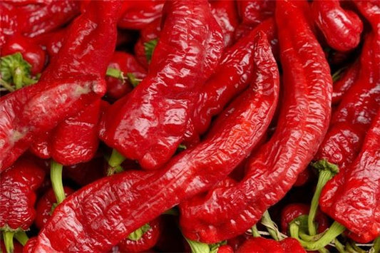 Woman dreaming of picking chili peppers in field — omen?