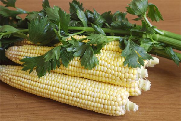 Woman dreams of corn — pregnancy omen?