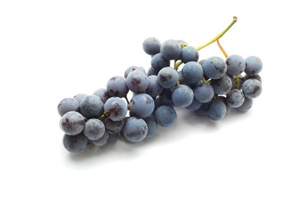 Woman dreams of eating purple grapes — omen?