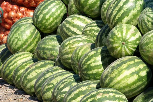 Woman dreams of pile of watermelons — omen?