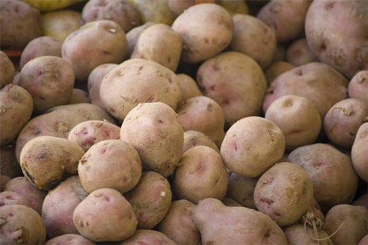 Woman dreams of planting potatoes — omen?