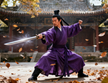 The Xu Chushang 徐处尚