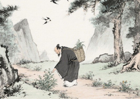 Yin Wencao（尹文操）: The Guardian of Daoist Ritual and Cosmic Harmony